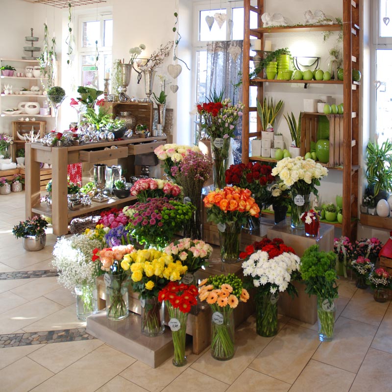 frische Blumen in der Blumengalerie in Hövelhof